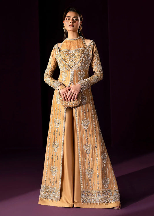 DSC00849 - LAAM PREMIUM pakistan designer dress